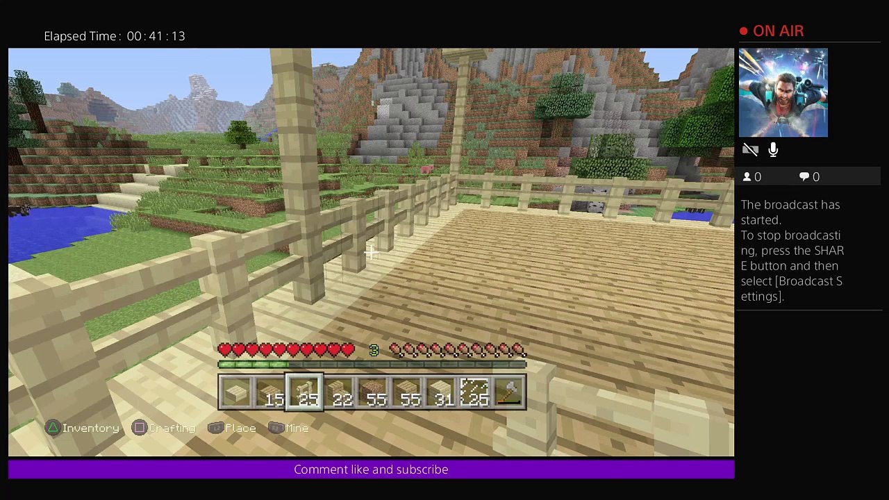 Minecraft stream (77)