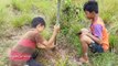 Terrifying!! Brave Two Brother Catch Snakes While Digging Hole