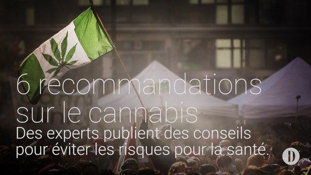 6 recommandations sur le cannabis