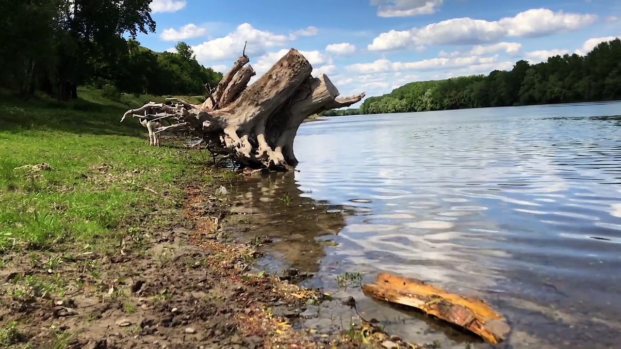 How to make a fish trap using a plastic bottle in a few minutes  كيف تصنع مصيدة سمك باستخدام زجاجة مياه فارعة