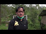 4 Kukang dan 2 Lutung Jawa Sitaan Dalam Tahap Rehabilitasi - NET5