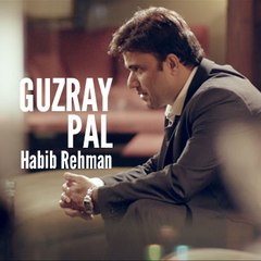 Guzray Pal (Heart Touching Song) | Habib Rehman | Noor Bukhari | Latest Punjabi Song 2017