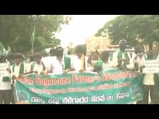 News Cafe | Top Stories | July 31st, 2016 | 8:00 AM