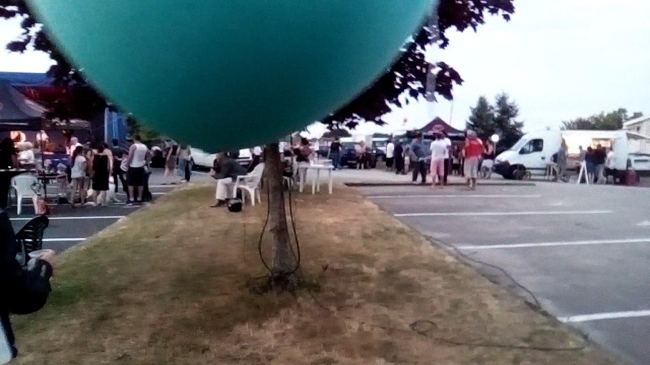 La fête de la musique a L'A R E H A  2017 (87)