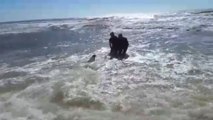 Pescadores rescataron a un tiburón que estaba varado en la playa