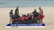 Multiple Shark Sightings Temporarily Close Virginia Beaches