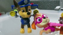 PAW PATROL Parody with PEPPA PIG Nickelodeon ICE BUCKET CHALLENGE ALS Toy Video