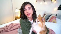 How I Adopted a Dog (Tayto's Rescue Story)! Ingrid Nilsen