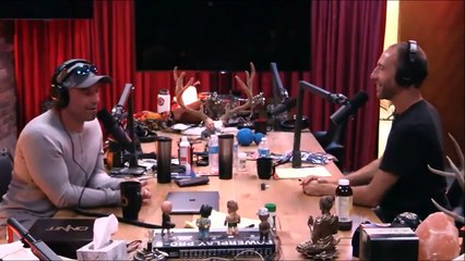 Joe Rogan on Wasting Your Life in the 9 5 Rat Race