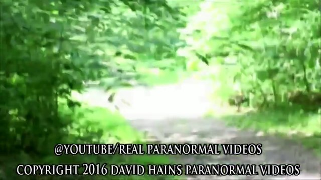 [MP4 1080p] Alive Dinosaur Footage Zoomed and in Slow Motion. Are Dinosaurs Still Alive _ NEW 2016
