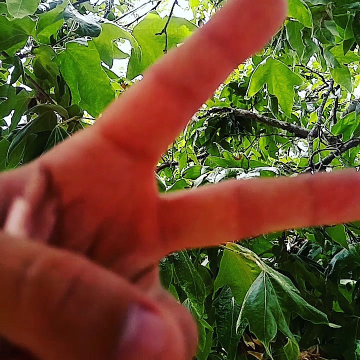 #Peace✌#Love❤and#Nature