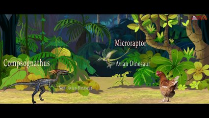 [MP4 1080p] Dinosaurs Still Alive Today...डायनासौर आज भी जिन्दा है ! यक़ीन नहीं होता _ तो जरूर देखे [REAL PROOF ]