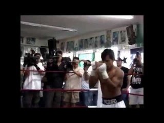 Sexy Soccer Star Hope Solo Big Pacquiao Fan But Thinks Floyd Mayweather Is Too Good EsNews