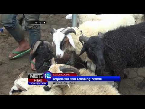Hanya Dalam Sehari 800 Kambing Terjual di Pasar Hewan Cianjur - NET12