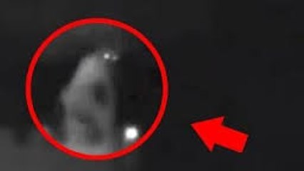 reptilian alien caught on tape in the us 2016