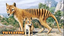 [MP4 480p] Top 10 Most Amazing Extinct Animals