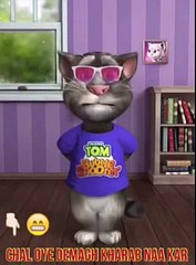Punjabi Funny tom cat 2016 (whatsapp Video) - YouTube