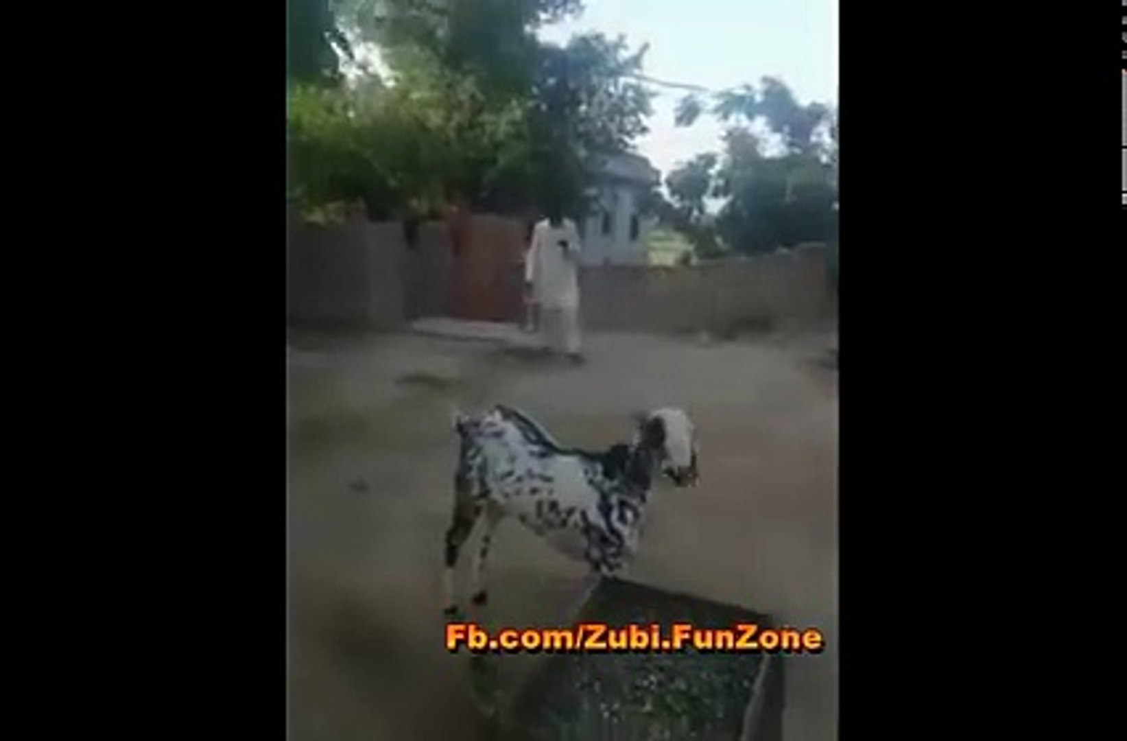 ⁣fun mobile zone animal fight videos