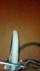 dando uma volta de bicicleta