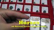 HORSES on Ancient Greek & Roman COINS including Races, Chariots & Pegasus