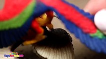 Videos de Dinosaur Dinosaurios de Juguete Microraptor Schl