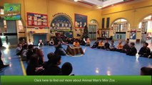 Animal Man's Mini Zoo EdVisits _ Kids Parties Glasgow _ Childrens Part