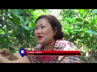 Wisata Petik Jambu Madu - NET 10