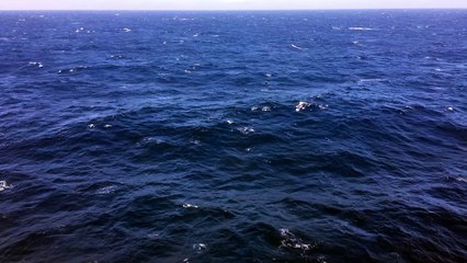 Cruising the pacific ocean