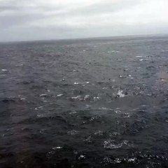 first signs of life between Bora Bora and Hawaii