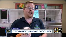Valley rescue in desperate need of cat food donations