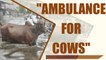 UP deploys ambulance service for cows | Oneindia News
