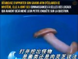 Quand des chinois pensent avoir découvert un champignon rare mais que c'est en fait un sextoy