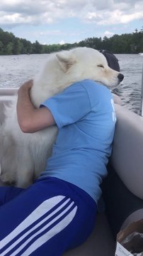 Le chien est bien le meilleur ami de l'homme, la preuve. Adorable