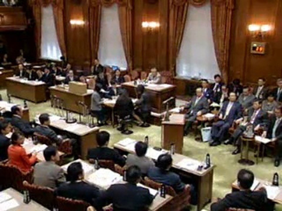 参議院国会審議20071016
