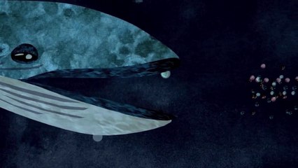 Julien Doré - BB Baleine (En duo avec Françoise Hardy)