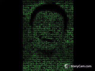 Como llegarle a las viejas