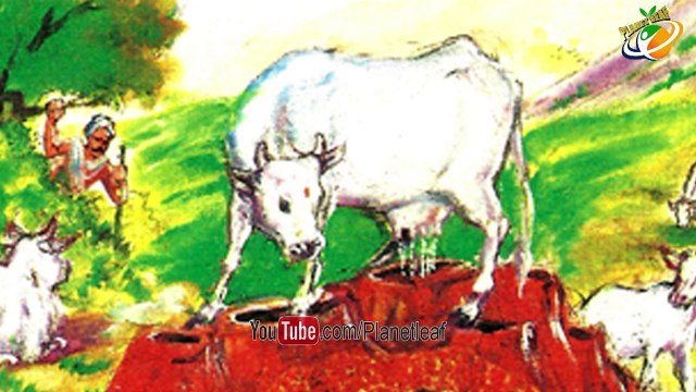 Amazing Facts About 9 Nandi Temples Of Mahanandi |నవ నందుల క్షేత్రాలు ఎక్కడ ఉన్నాయో మీకు తెలుసా | CC