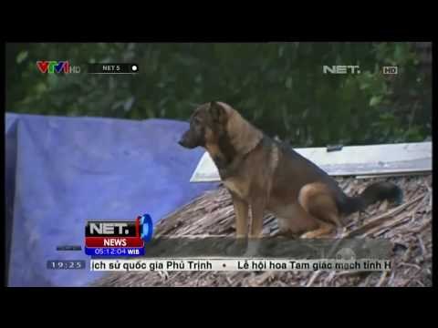 Ratusan Ribu Rumah Warga di Vietnam Tengah Masih Terendam Banjir - NET5