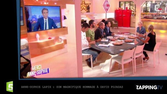Anne-Sophie Lapix : Son magnifique hommage à David Pujadas dans C à vous