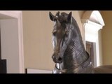 Napoli - Il Cavallo Mazzocchi torna al Museo Archeologico (23.06.17)