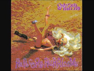 GUMBOIL - DERBY STALLION