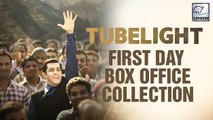 Tubelight Becomes Second Highest Opener Of 2017