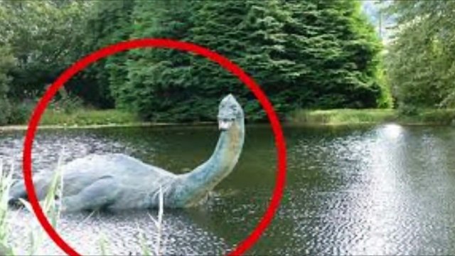 7 Aterradores Humanoides captados en Videos