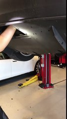 Tesla Service Center rescues trapped kitten