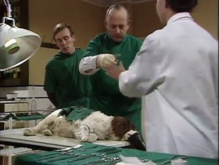 All Creatures Great And Small S02E07 Tricks Of The Trade