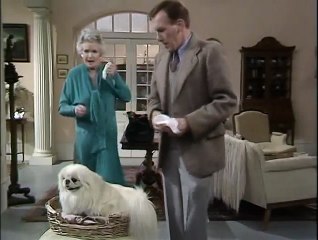 All Creatures Great And Small S04E05 Hail Caesar!