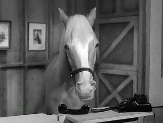 Mister Ed S01E26 - Wilbur Sells Ed