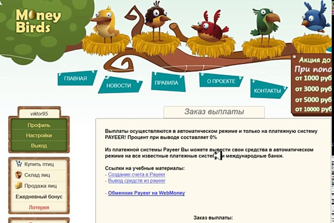 Aves dinero en cómo hacer un millón de rublos 1000000 rublos ganan mani berds