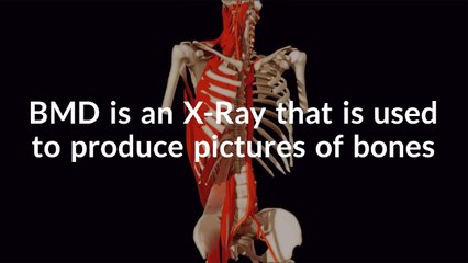 Bone Mineral Density Test at Radlabs Medical Diagnostics