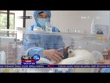 Lahirnya Bayi Panda Kembar di Shanghai Cina - NET24